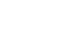 Angie Logo White