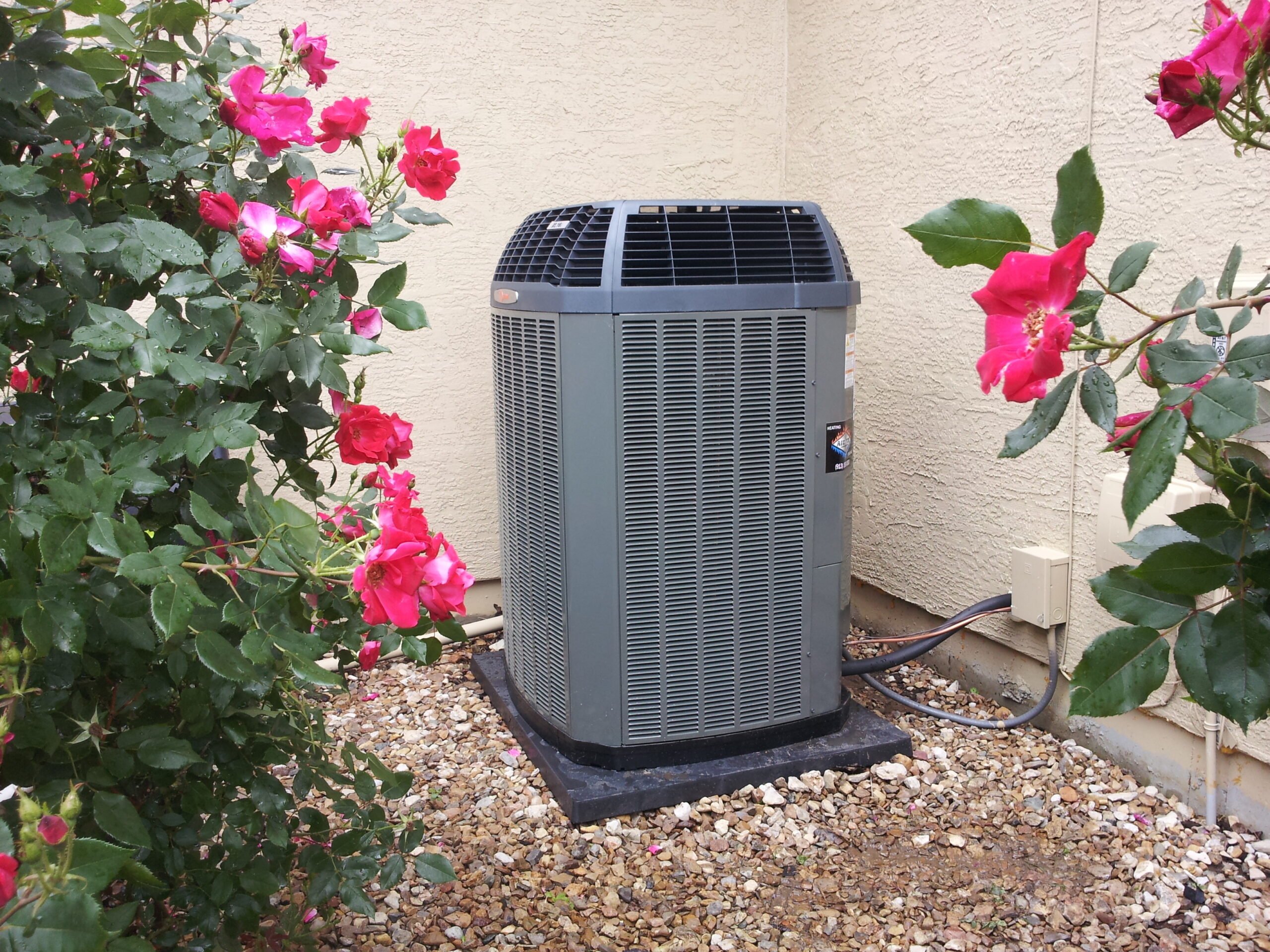 Trane unit outside near flowers